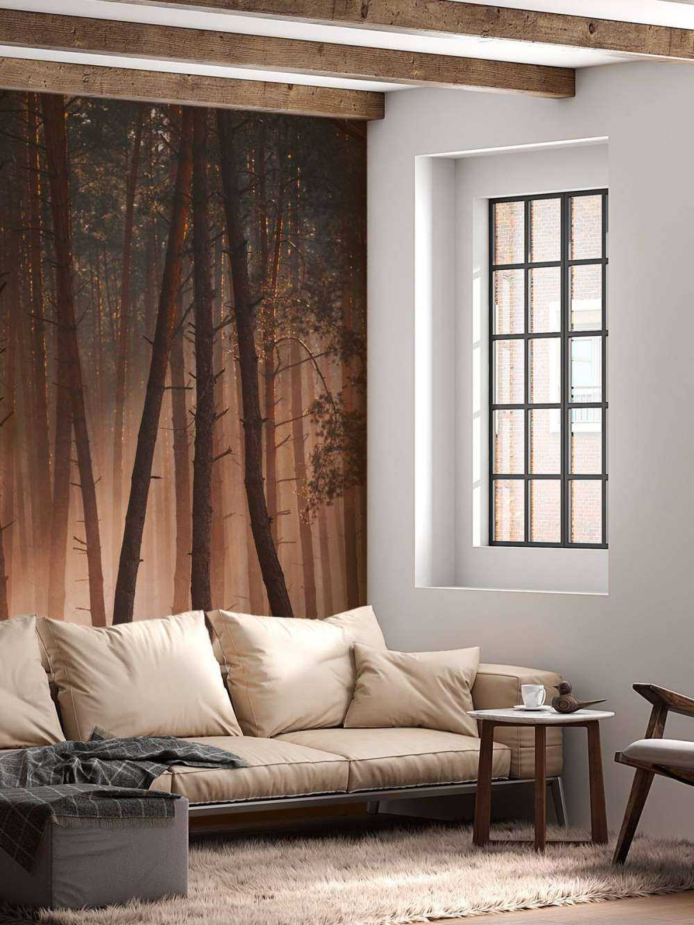 Transition des Saisons