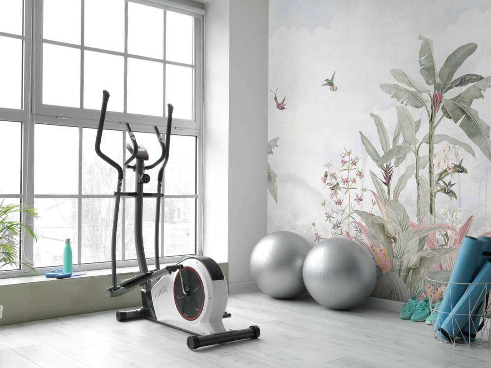 Colibris parmi les feuilles tropicales