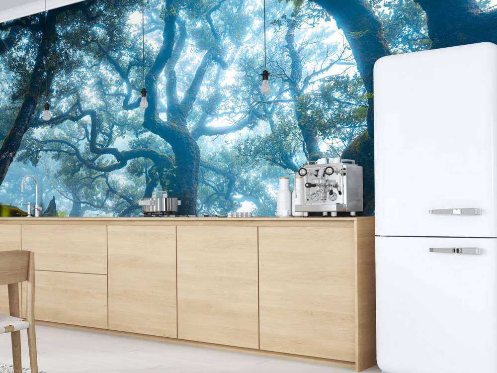 Forêt enchantée dans la brume du matin.