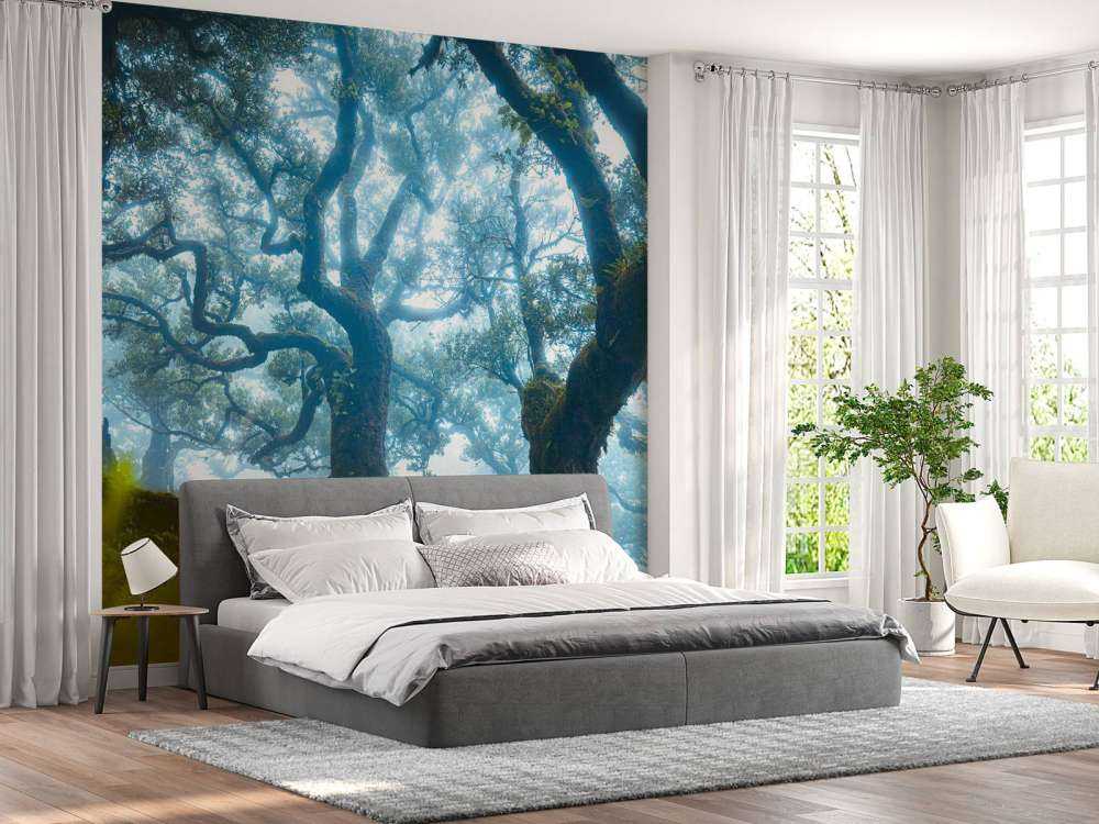 Forêt enchantée dans la brume du matin.