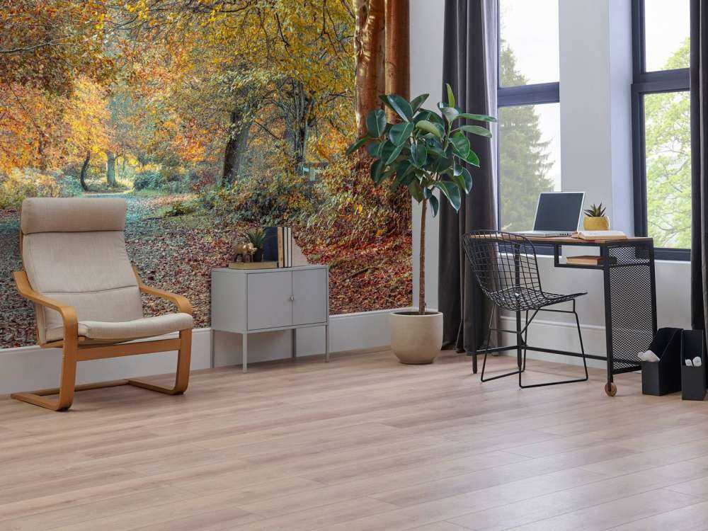 Forêt d’automne avec un feuillage doré