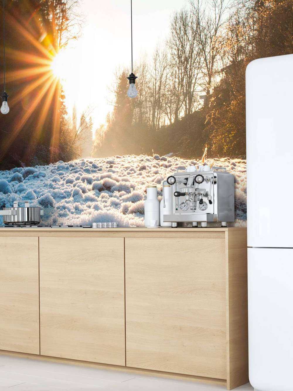 Matin glacial dans la forêt d'hiver