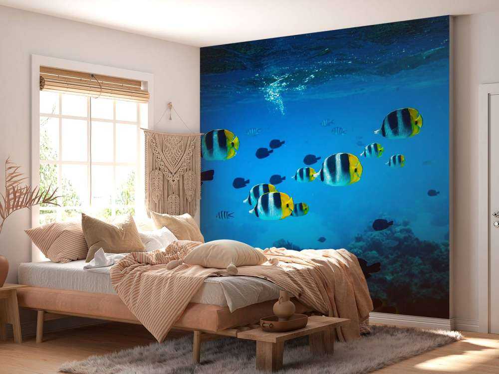 Poissons de récif tropicaux dans l'eau bleu clair