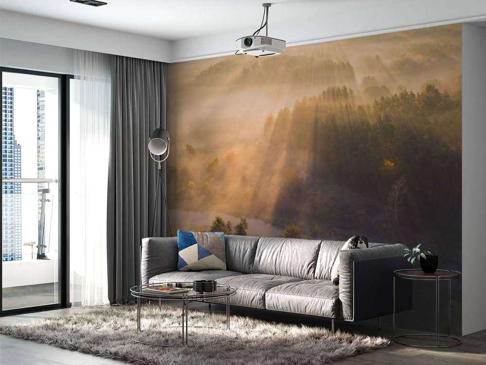 Brume matinale rêveuse dans la nature