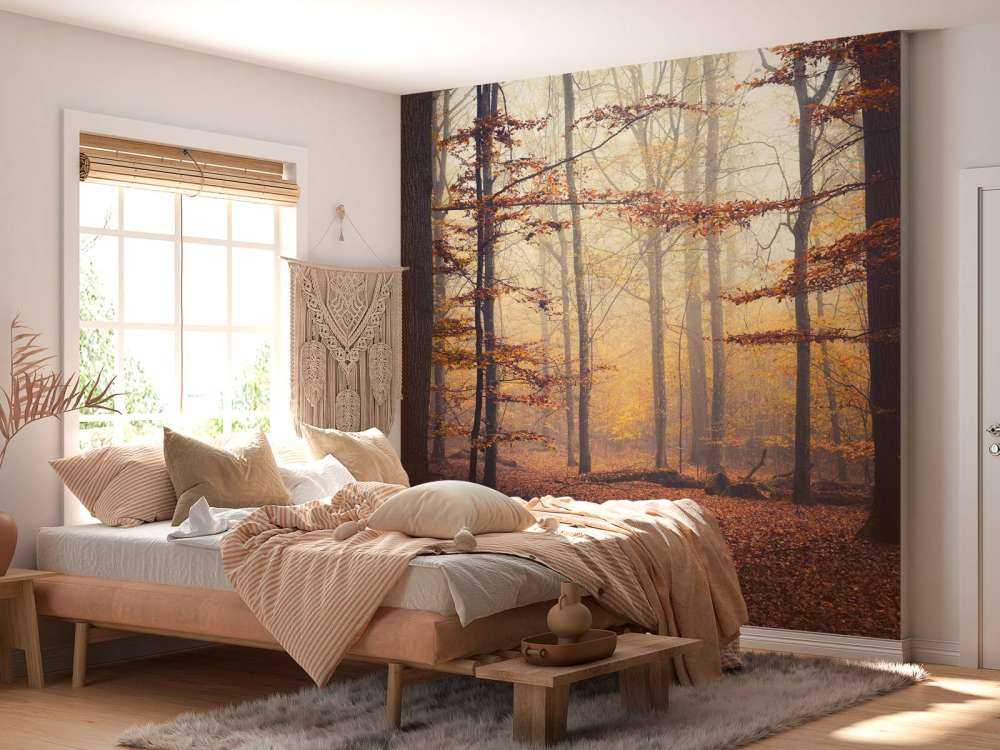 Forêt d'automne dans la brume dorée