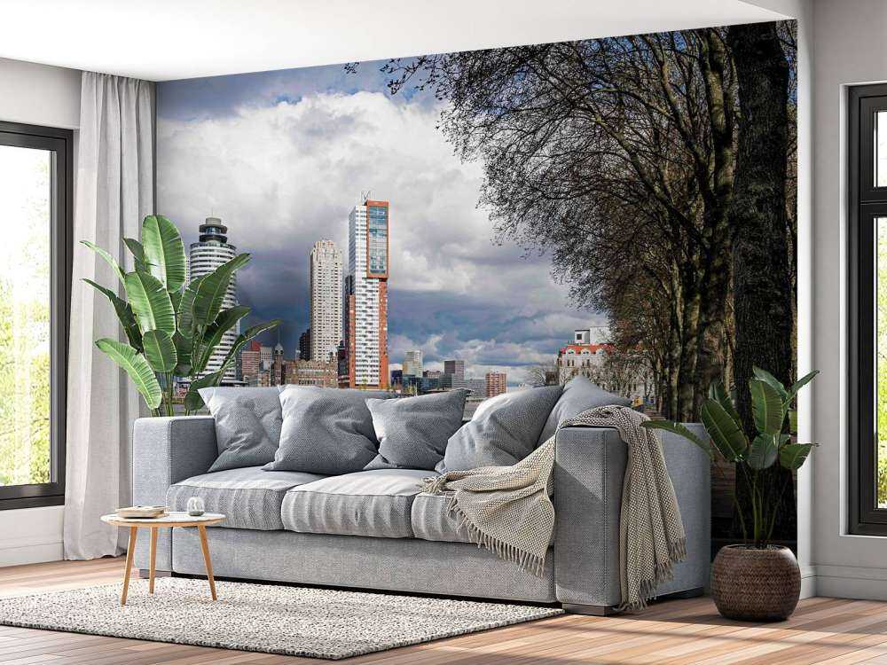 Skyline de Rotterdam depuis le quai