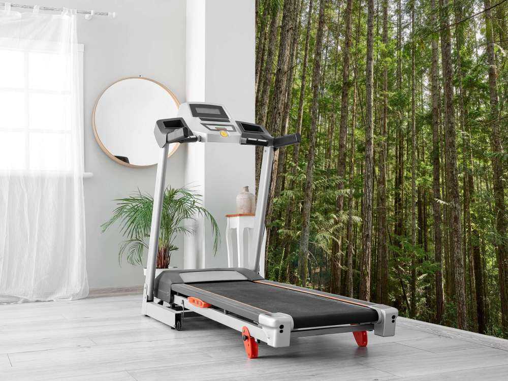 Arbres minces dans la forêt