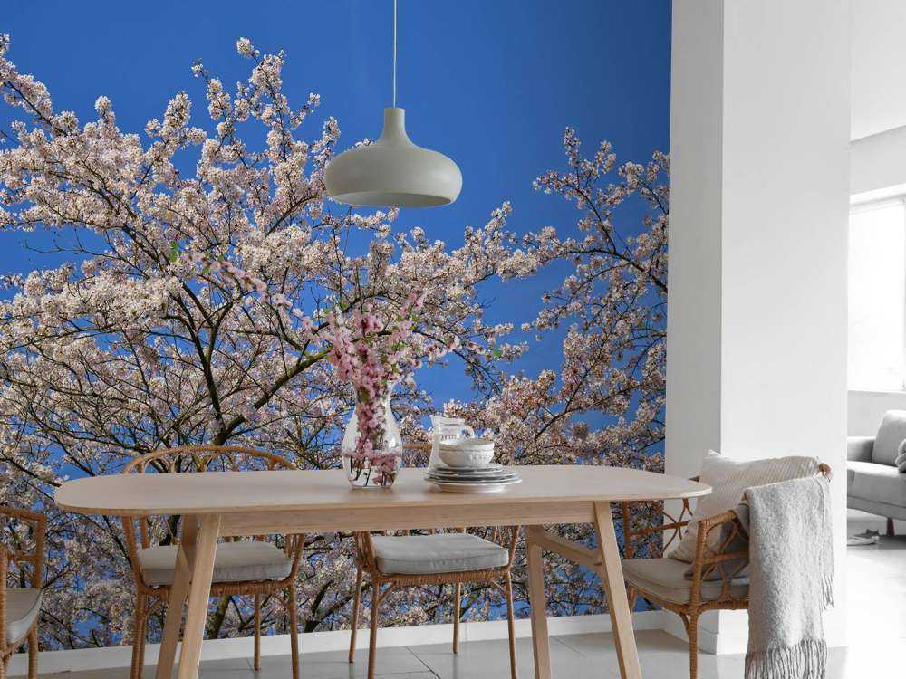 Fleurir avec un ciel bleu