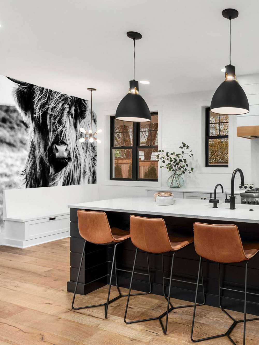 Le Highland écossais en noir et blanc