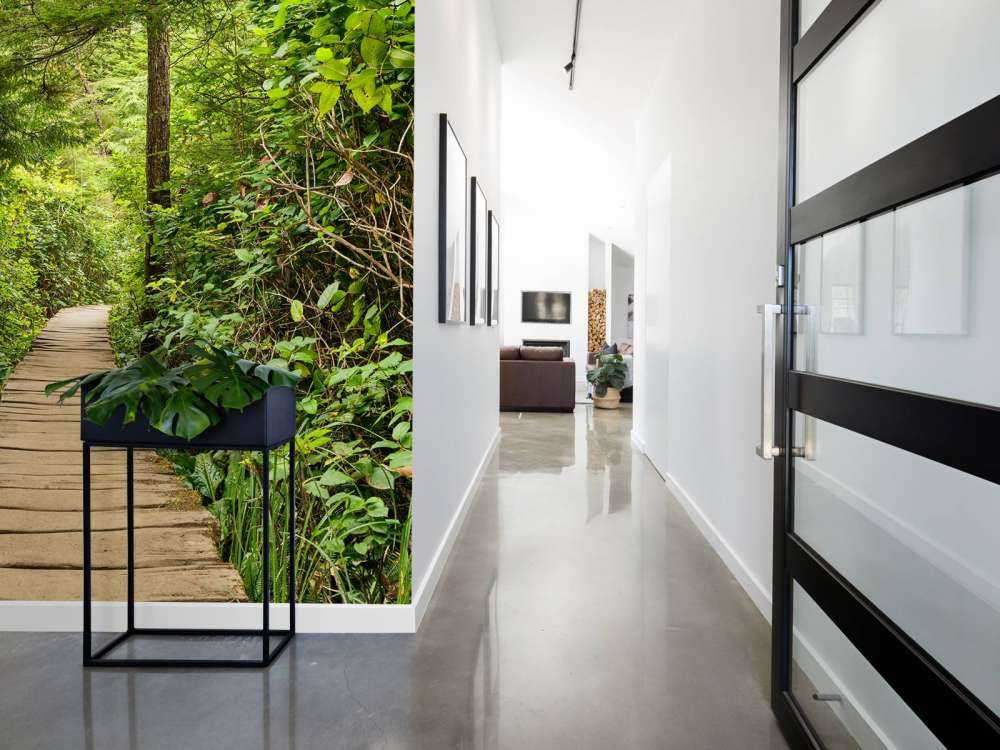 À travers la forêt verte