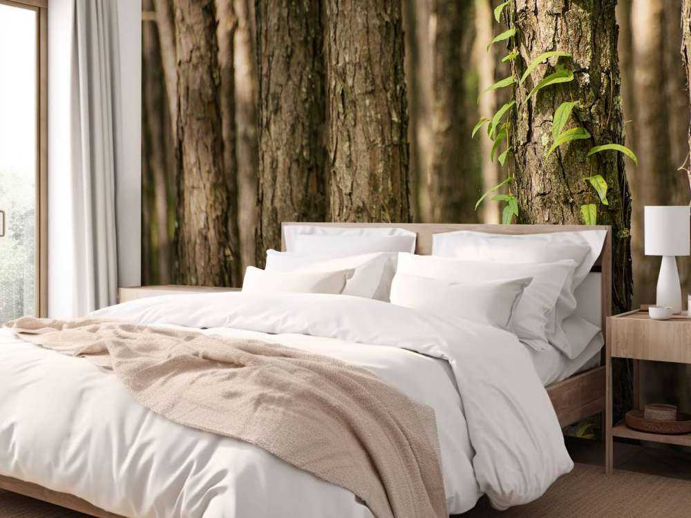 Troncs d'arbres minces