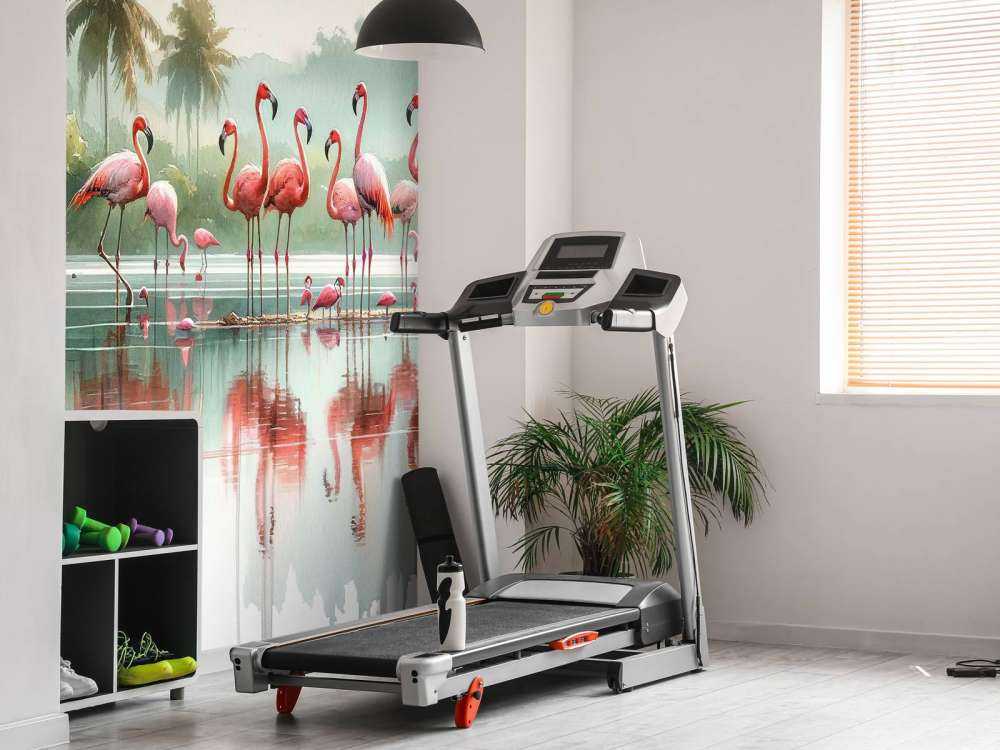 Réflexions matinales des flamants roses