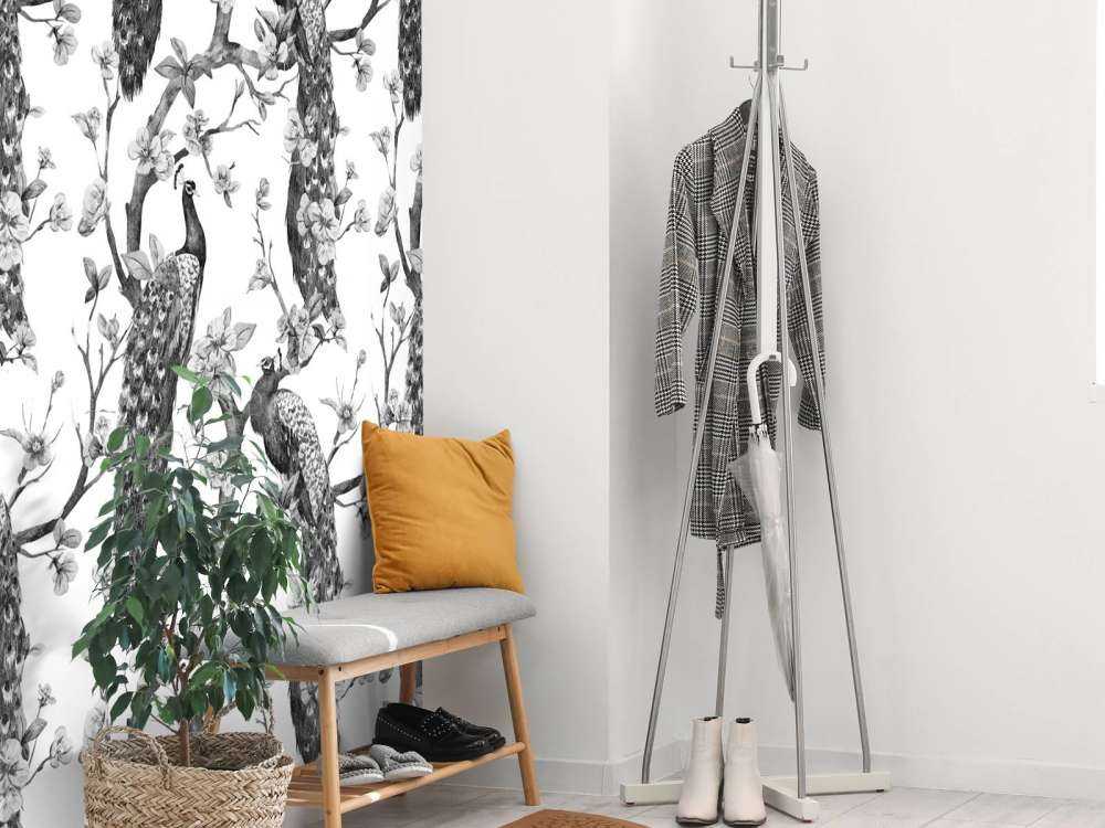 Splendeur Monochrome de Paon