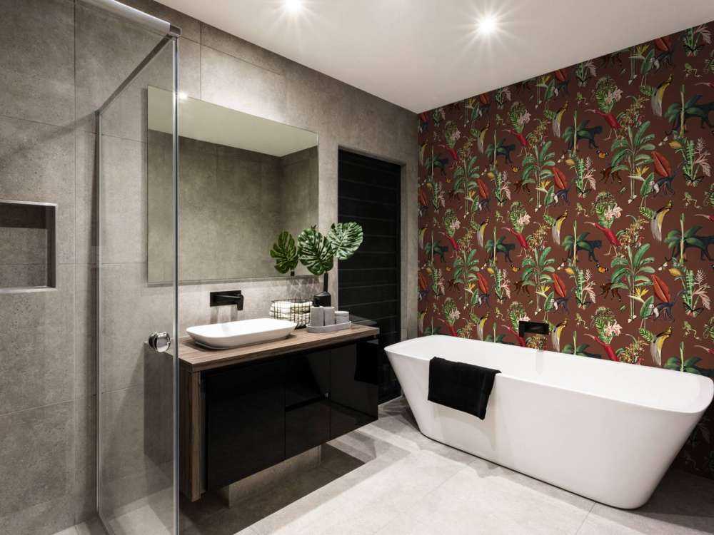 Royaume Animalia Terre Sombre