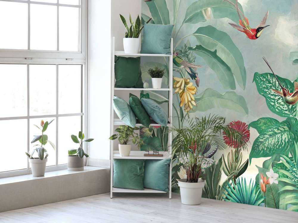 Paradis des Colibris