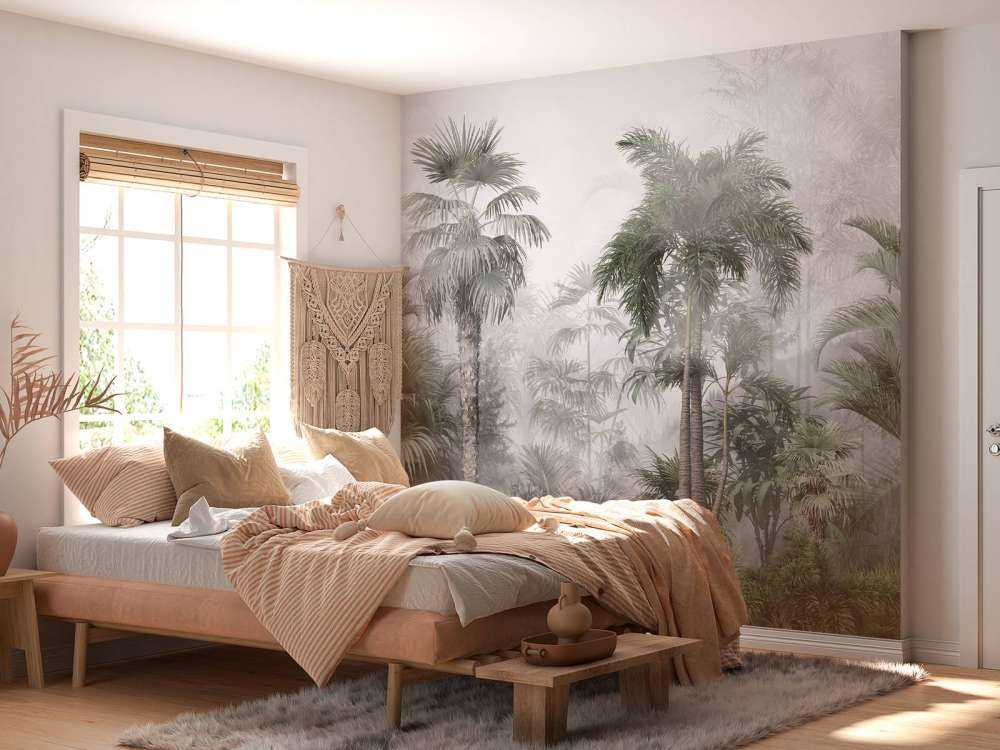 Brume Matinale dans les Tropiques