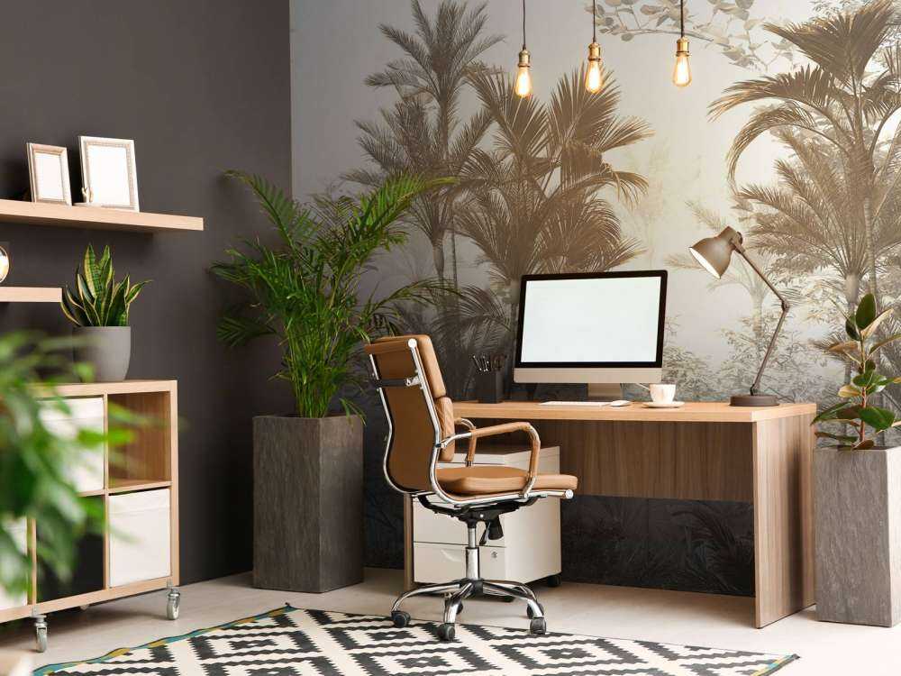 Lumière Solaire à travers les Palmiers