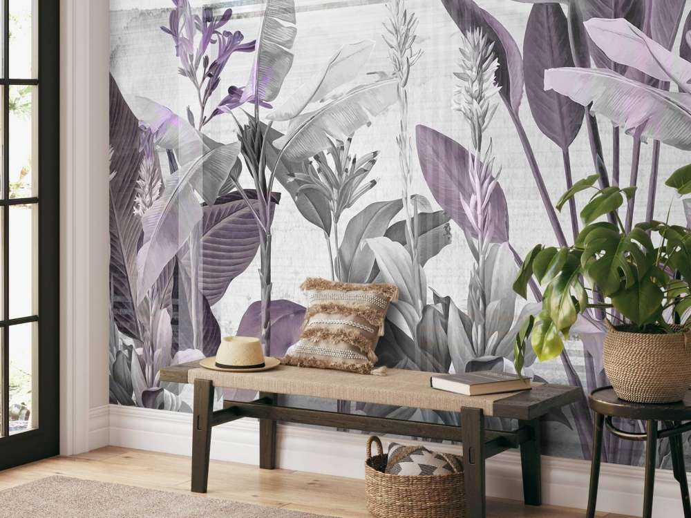 Dreams and Tropics 5