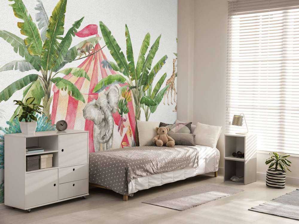 Cirque dans la jungle