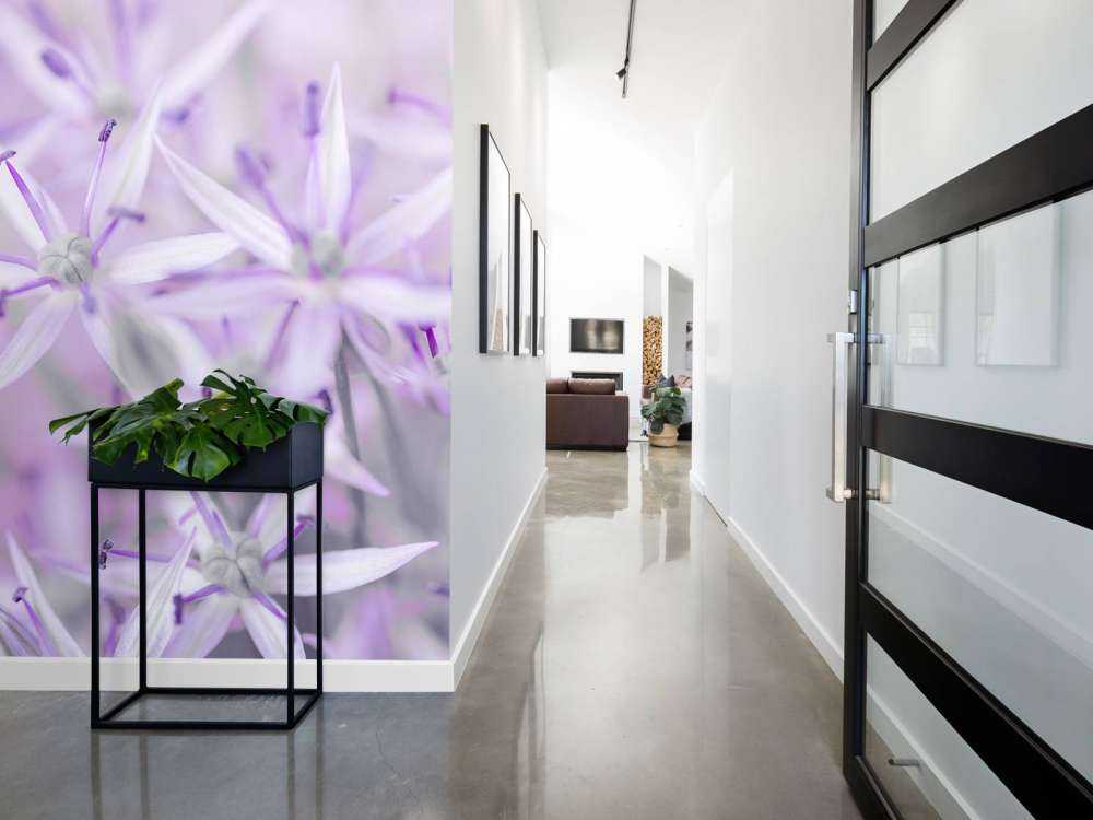 Fleurs d'allium en gros plan