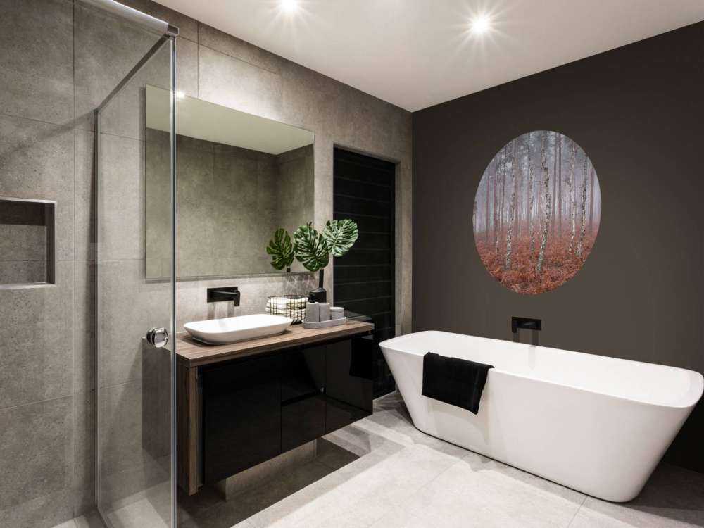 Forêt brumeuse abandonnée