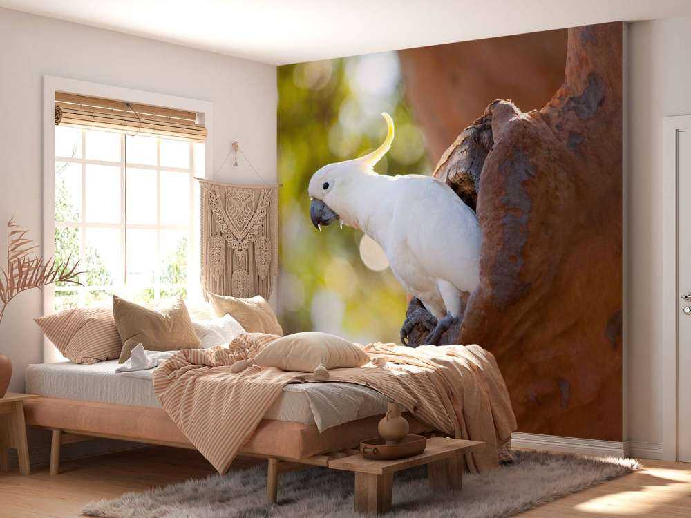 Cacatoès dans la cavité d'un arbre