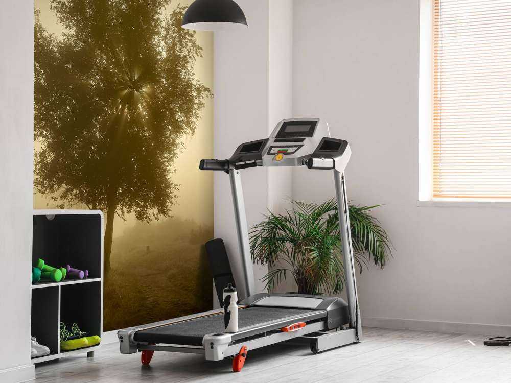 Lever de soleil doré