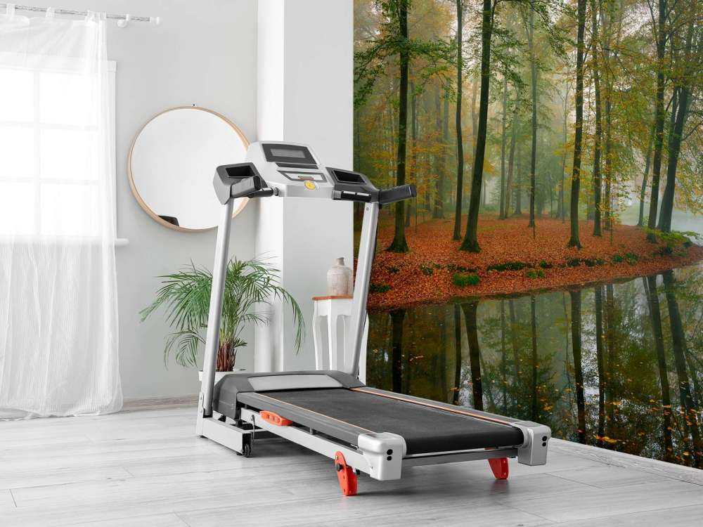 Réflexion d'arbres dans un étang