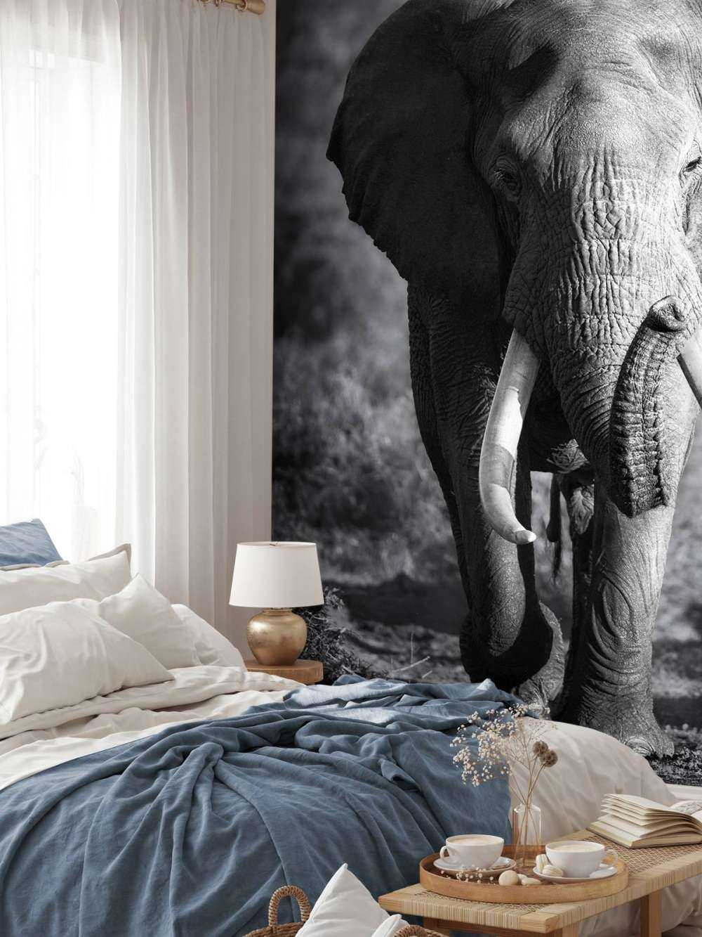 éléphant d'Afrique