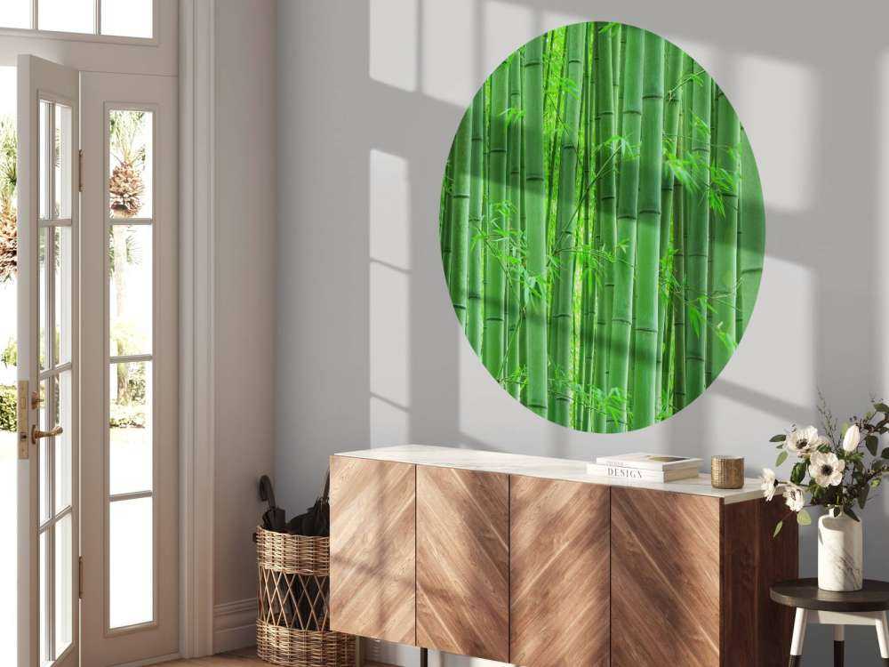 Gros plan sur une forêt de bambous