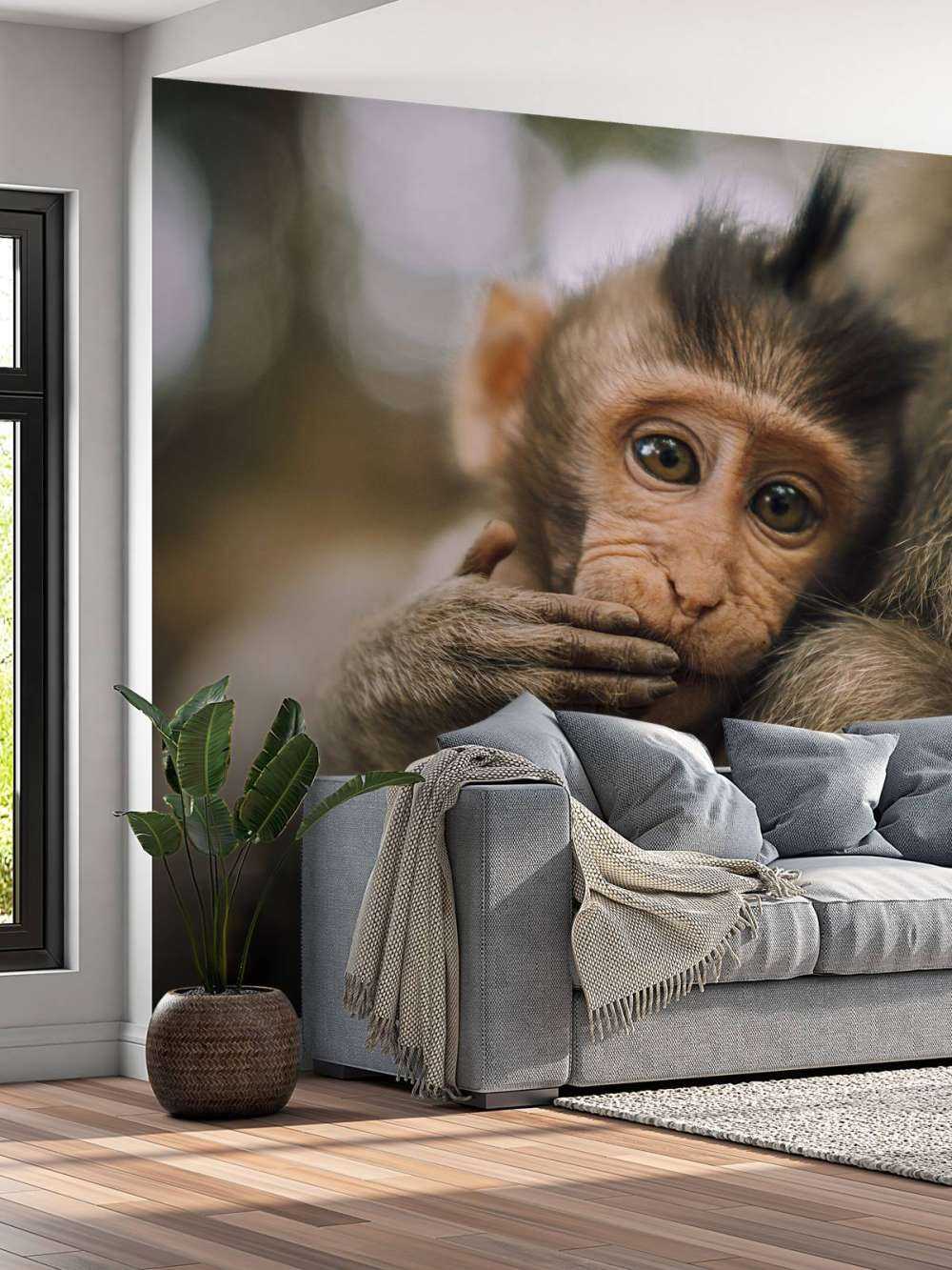 Gros plan d'un petit singe