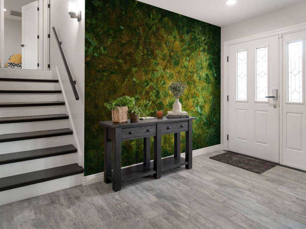 Structure d'oxydation du métal vert