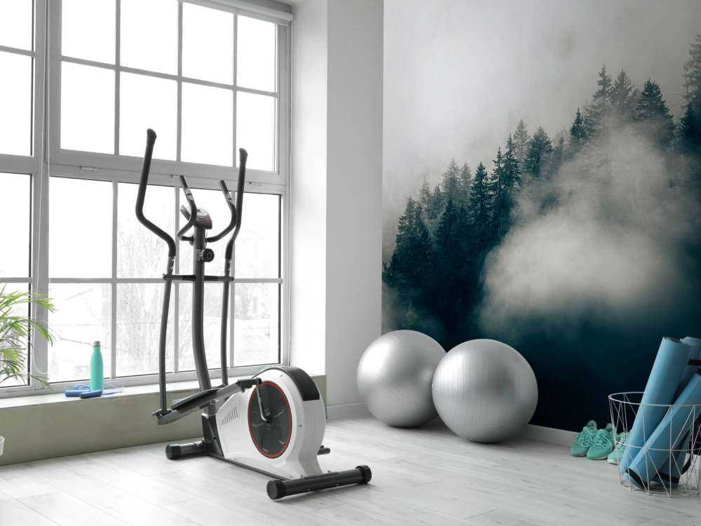 Réveil alpin brumeux