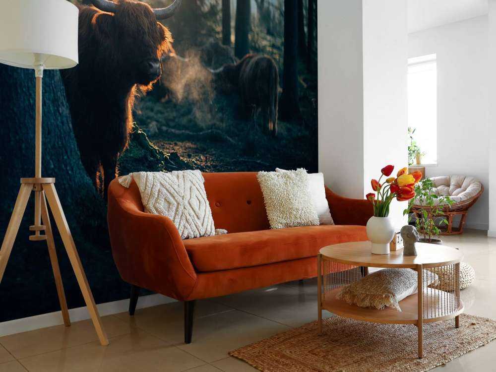 Le Highlander écossais au lever du soleil