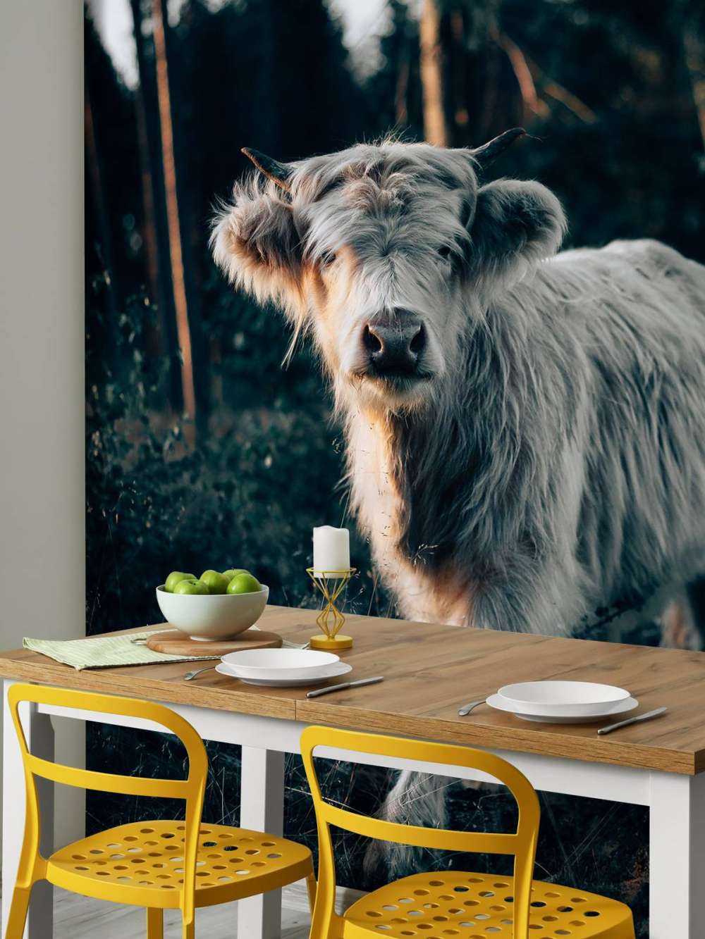 Louveteau écossais Highlander