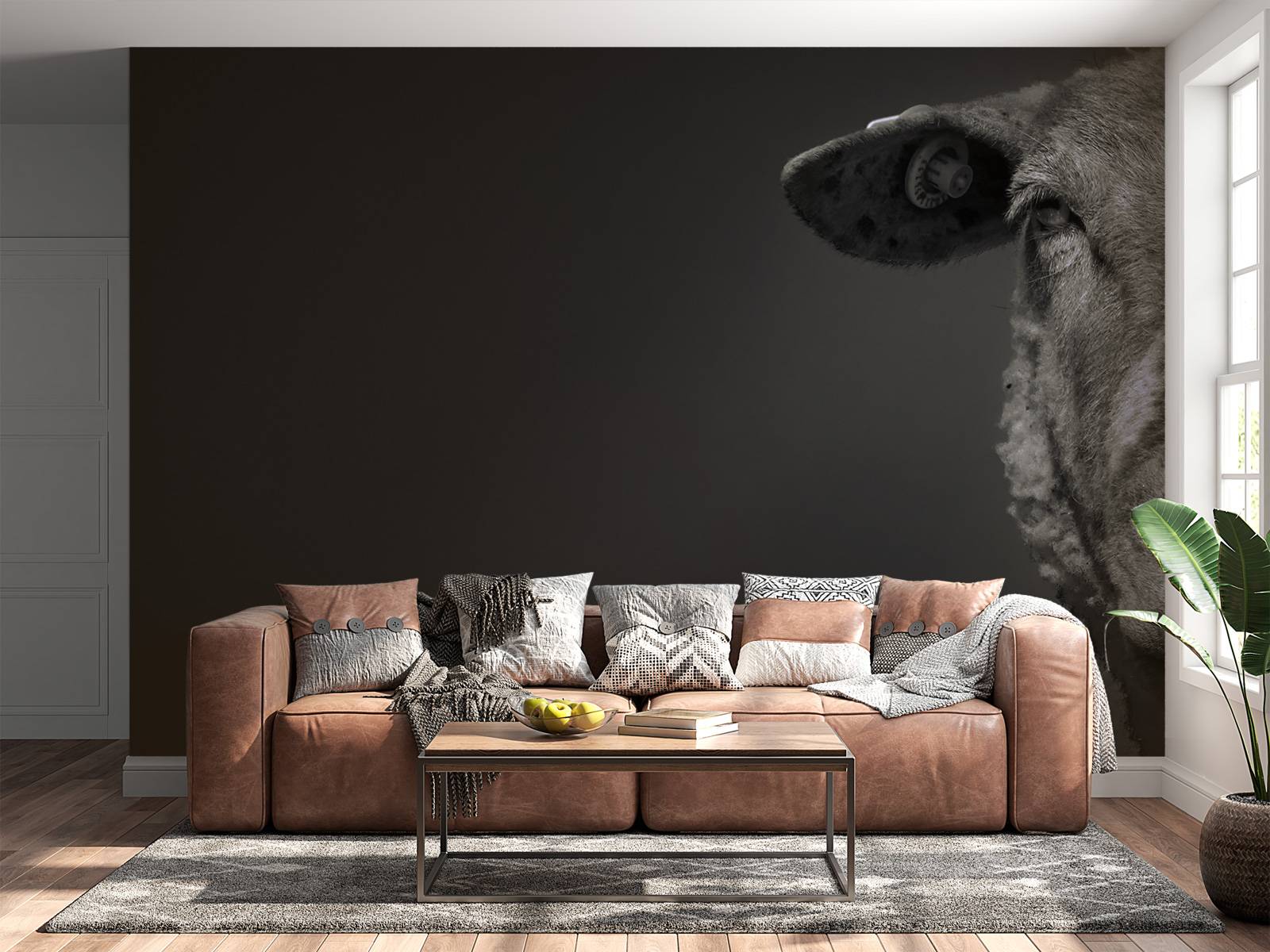 Gros plan sur un mouton noir et blanc