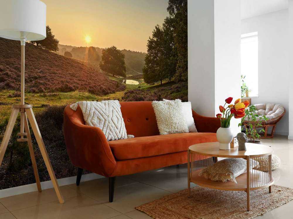 Flaque d'eau sur la lande