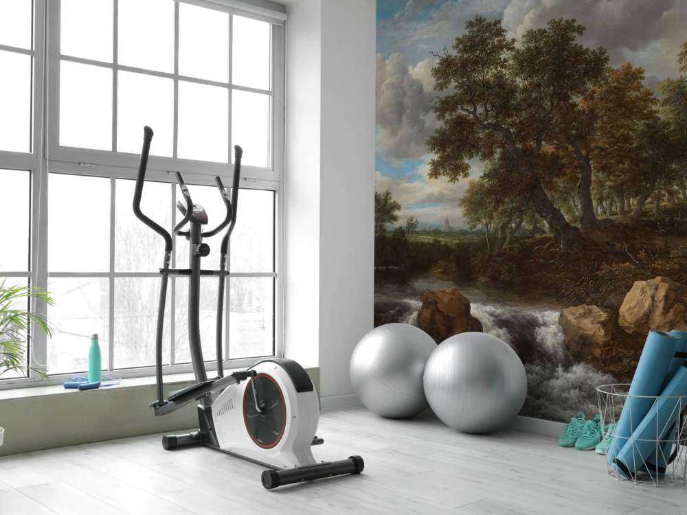 Paysage avec cascade