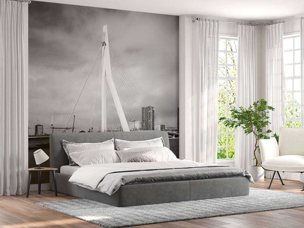 Pont Erasmus Rotterdam