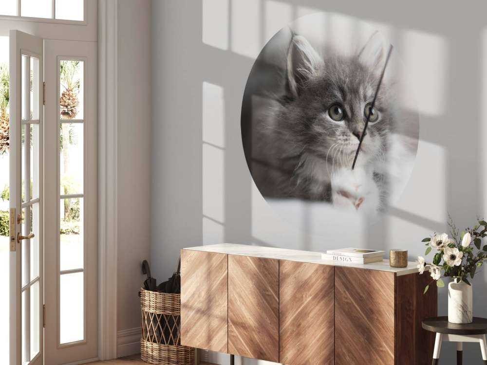 Jouer au chat