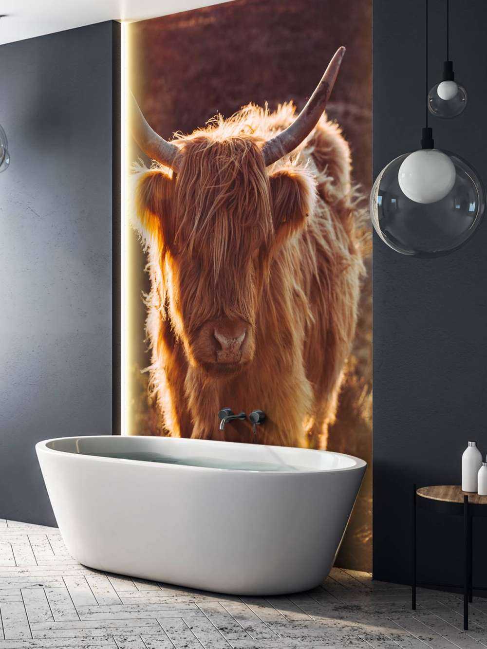 Le Highland écossais au soleil