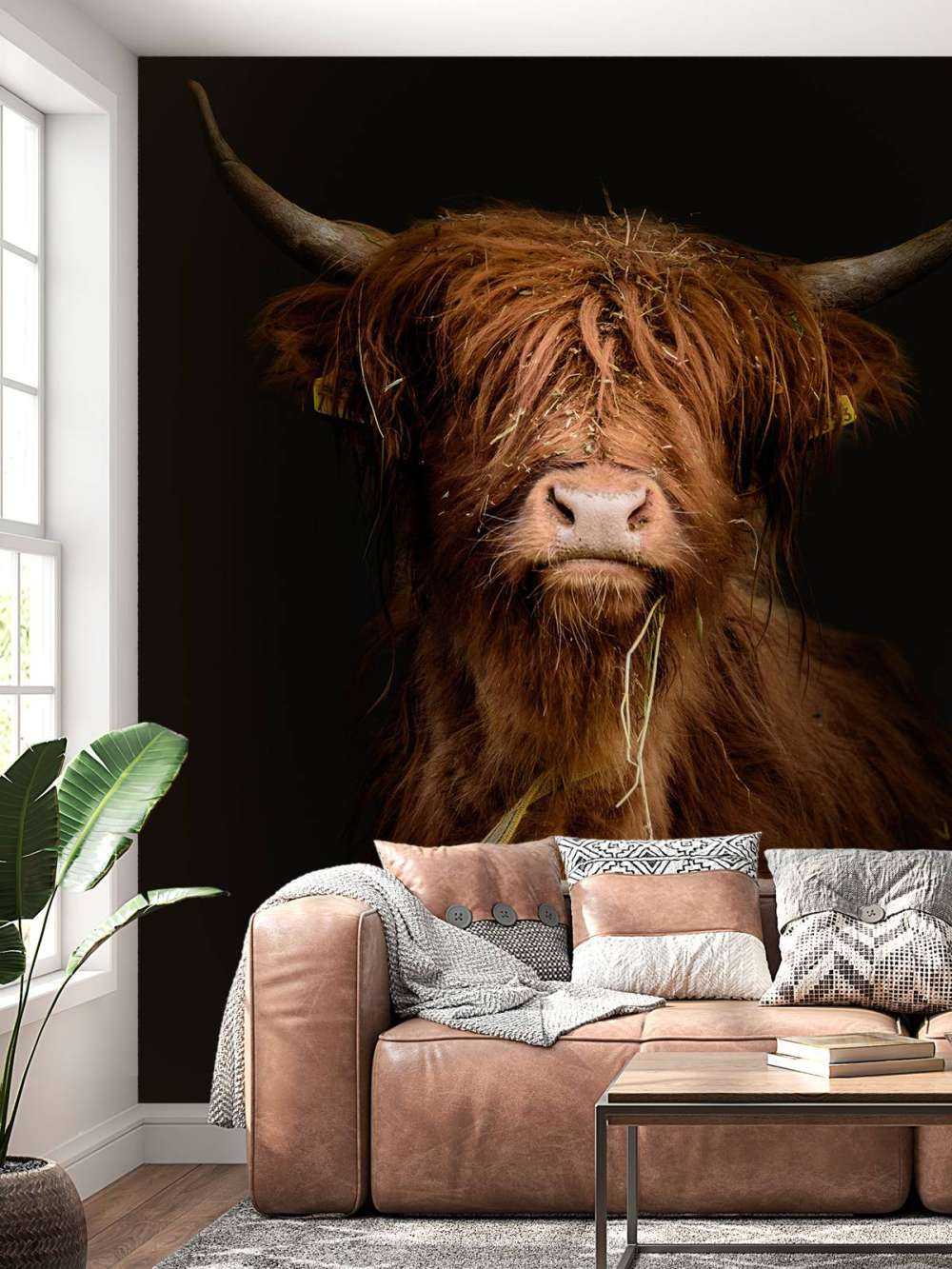 Portrait Scottish Highlander