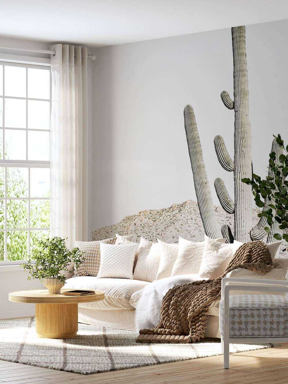Le cactus haut