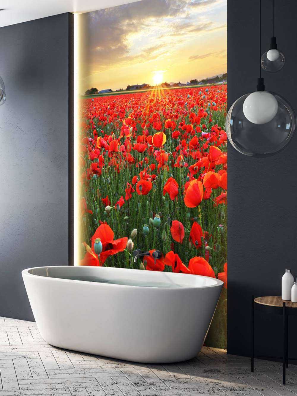 Les coquelicots au coucher du soleil