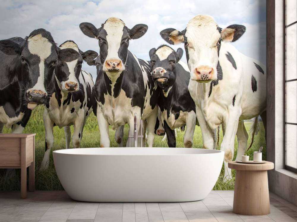 Troupeau de vaches