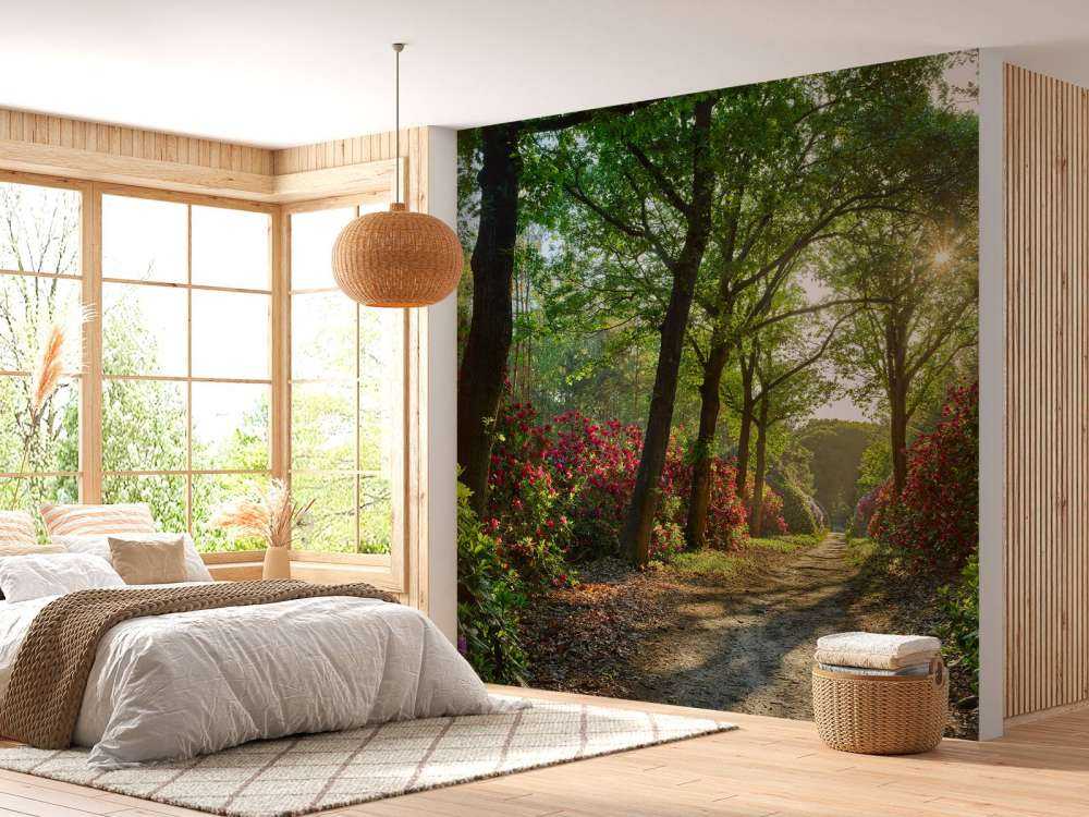 Lever de soleil sur le chemin avec des rhododendrons