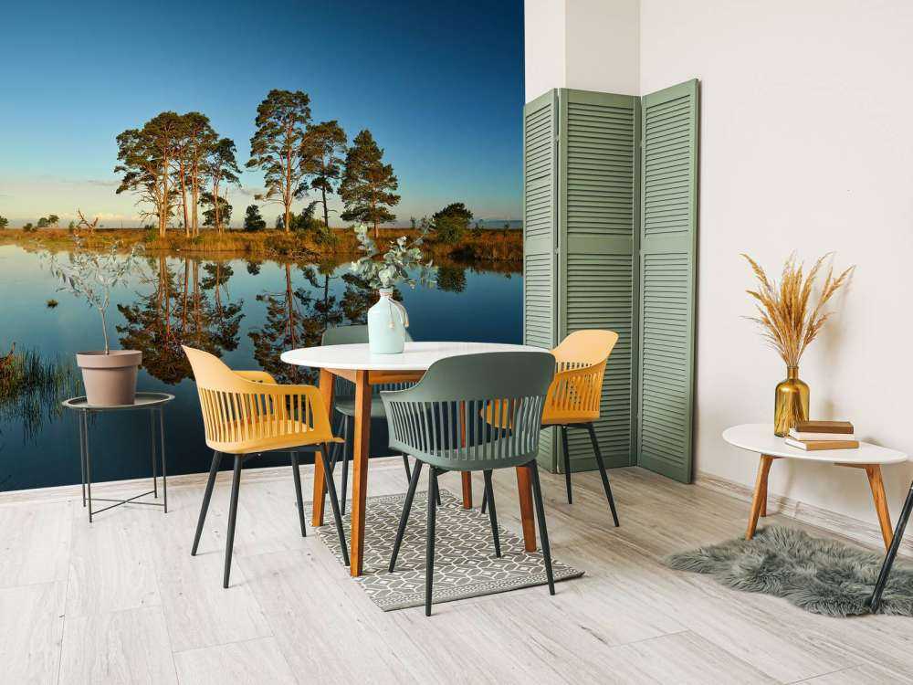 Réflexion dans un lac de forêt