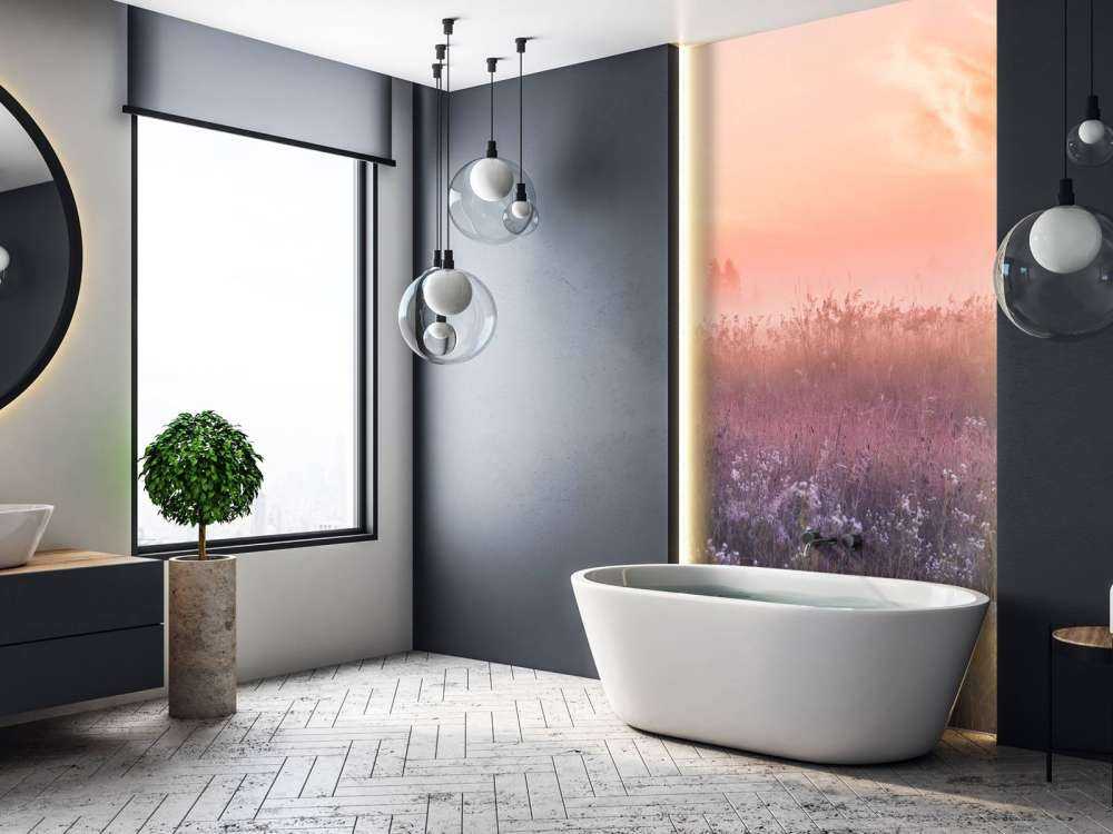 Champ avec brume du matin