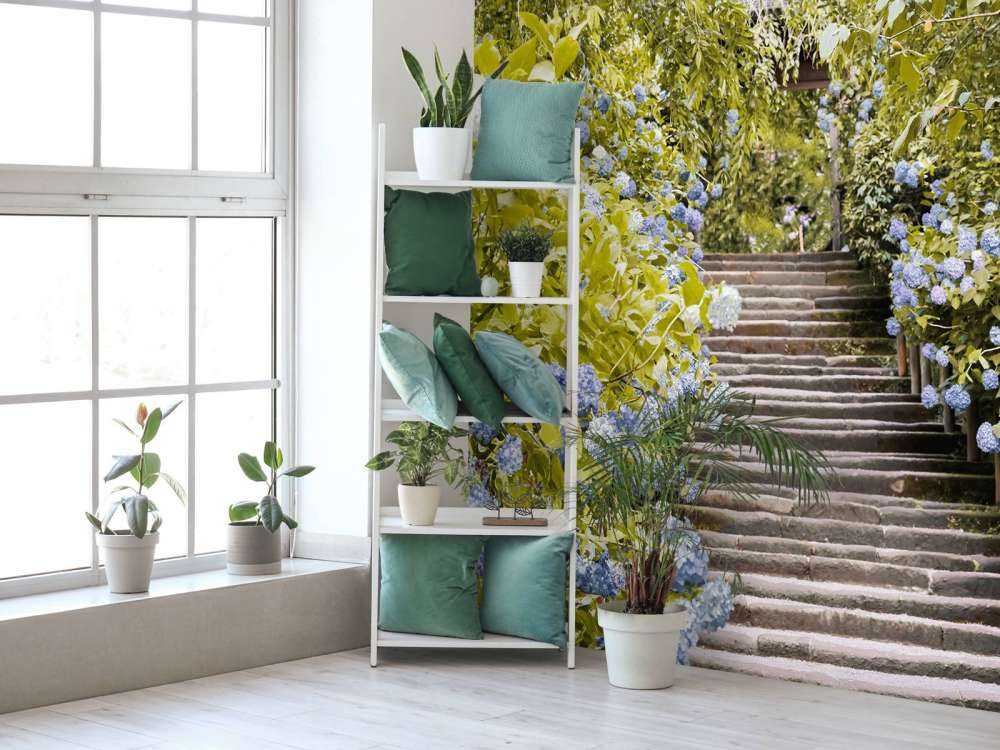 Fleurs bleues dans un parc