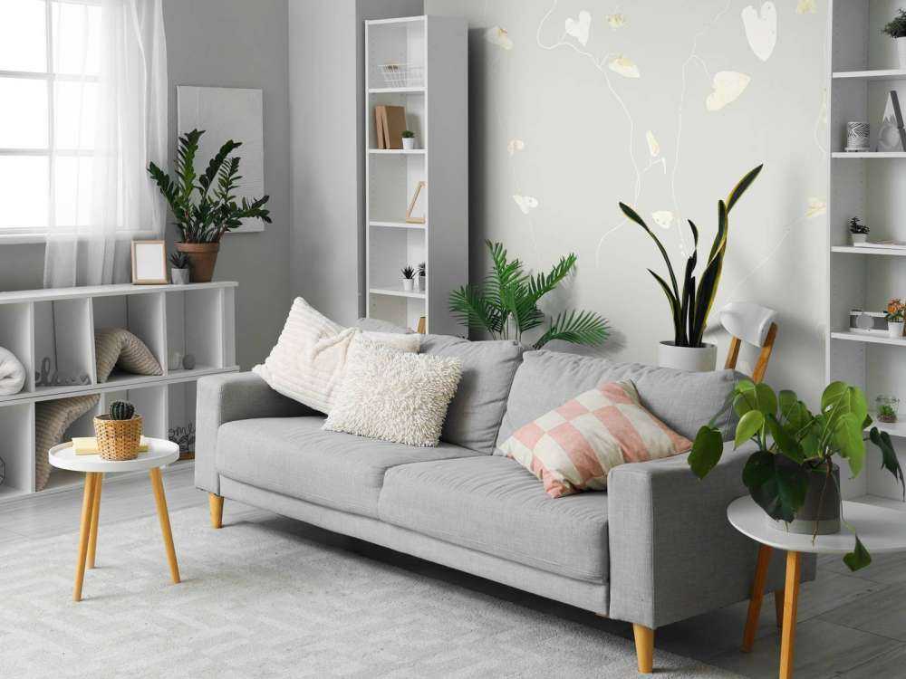 Charme commun brumeux